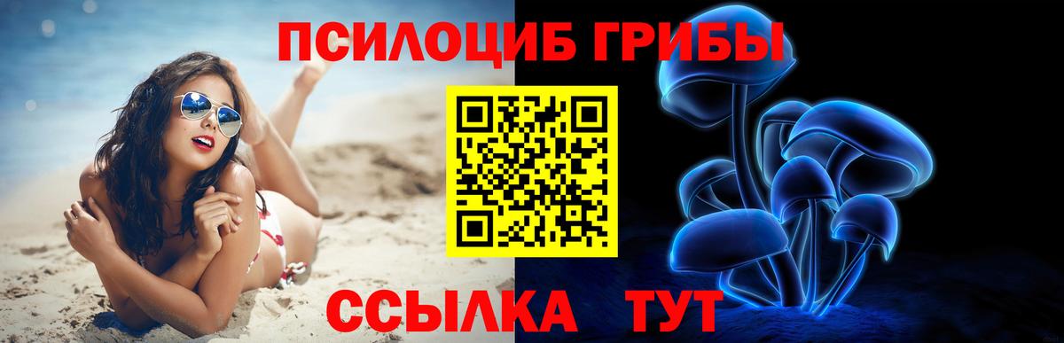 Шумерля  Псилоцибиновые грибы ЛСД  Вход с VPN 